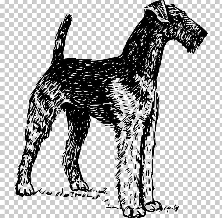 Airedale Terrier Bull Terrier Boston Terrier Welsh Terrier Cairn Terrier PNG, Clipart, Airedale Terrier, Black And White, Boston Terrier, Bull Terrier, Cairn Terrier Free PNG Download