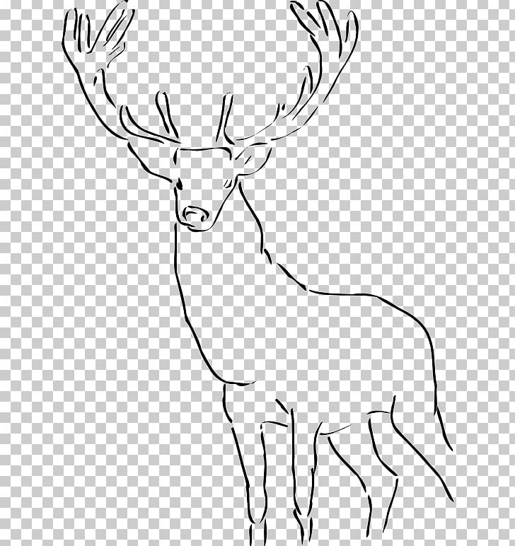 Deer Drawing PNG, Clipart, Antler, Art, Black And White, Cattle Like Mammal, Computer Icons Free PNG Download