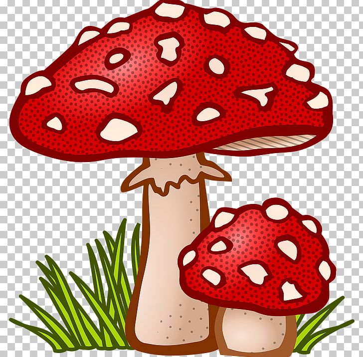 Mushroom PNG, Clipart, Common Mushroom, Drawing, Edible Mushroom, Food, Morchella Free PNG Download