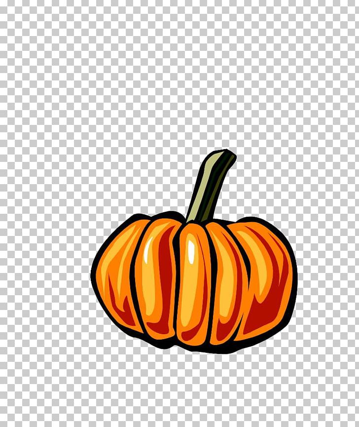 New Hampshire Pumpkin Festival Pumpkin Pie Animation PNG, Clipart, Calabaza, Carving, Cucurbita, Cucurbita Maxima, Food Free PNG Download