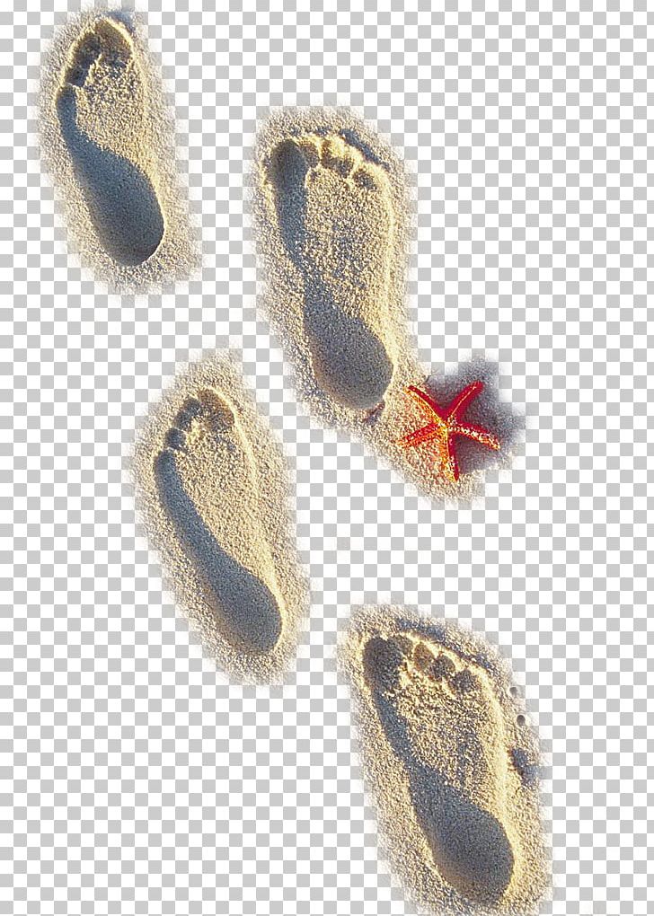 Sand Beach Footprint PNG, Clipart, Beach, Beaches, Beach Footprints, Beach Party, Beach Sand Free PNG Download