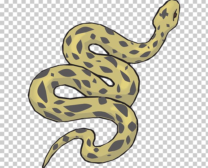 Snake Green Anaconda PNG, Clipart, Animation, Boa Constrictor, Boas, Cartoon, Clip Art Free PNG Download
