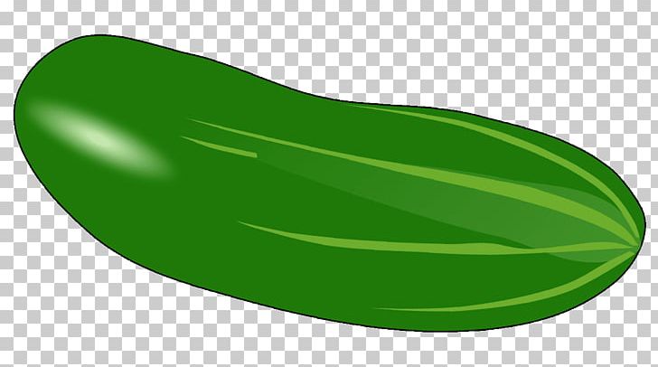 Vegetable Cucumber Food PNG, Clipart, Cucumber, Food, Grass, Green, Leaf Free PNG Download