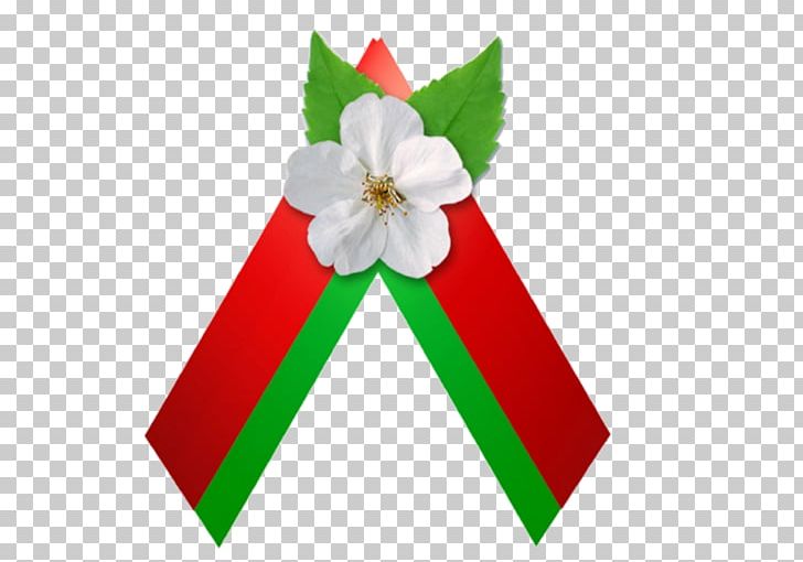 Baranavichy Victory Day Great Patriotic War Speckombinat KBO Up May PNG, Clipart, 2017, 2018, Baranavichy, Belarus, Christmas Ornament Free PNG Download