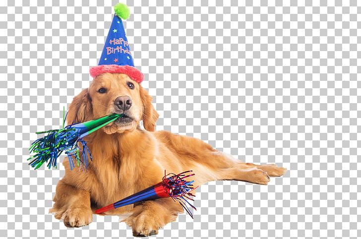 Birthday Cake Dalmatian Dog Puppy Party PNG, Clipart, Birthday, Birthday Cake, Cake, Carnivoran, Christmas Ornament Free PNG Download