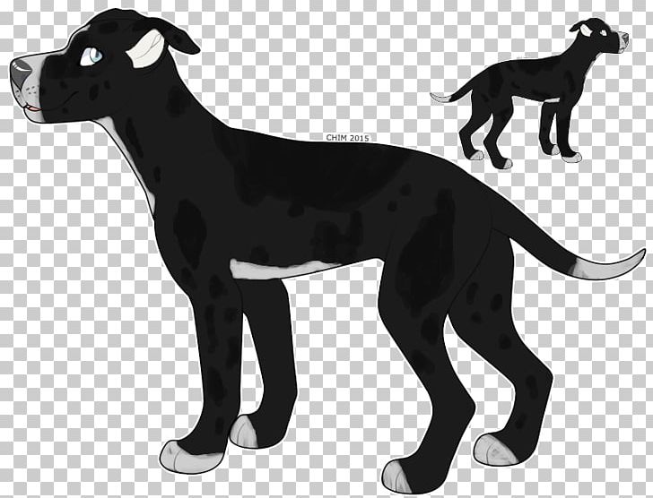 Great Dane American Quarter Horse American Paint Horse Foal Equestrian PNG, Clipart, American, American Quarter Horse, Animals, Black, Black And White Free PNG Download