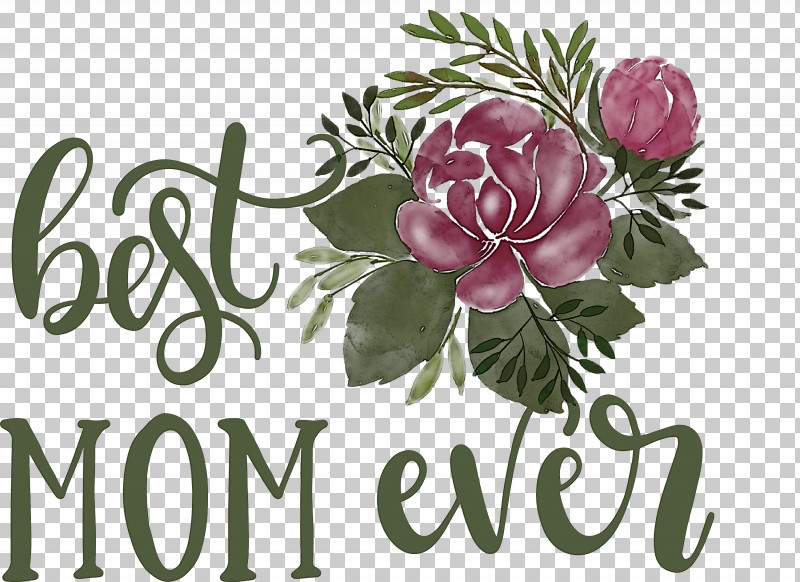 Mothers Day Best Mom Ever Mothers Day Quote PNG, Clipart, Best Mom Ever, Cut Flowers, Floral Design, Flower, Flower Bouquet Free PNG Download