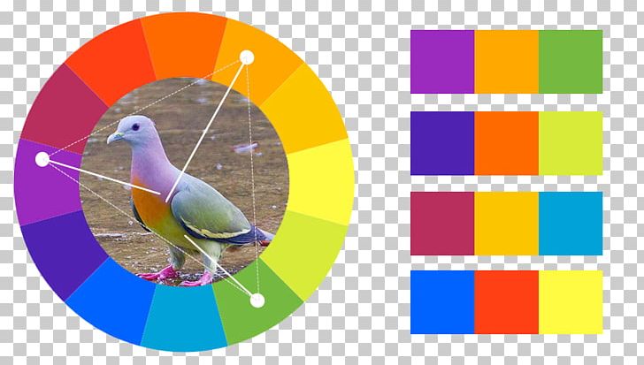 Analogous Colors Color Scheme Color Theory Graphic Design PNG, Clipart, Analogous Colors, Area, Beak, Circle, Color Free PNG Download
