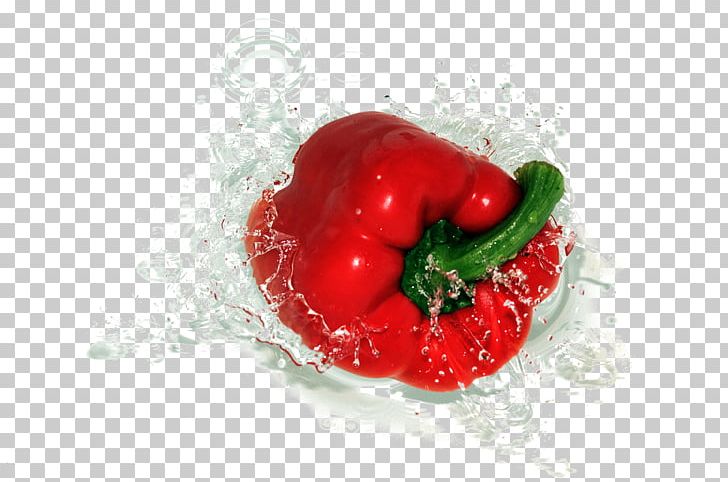 Bell Pepper Chili Pepper Vegetable Fruit Tomato PNG, Clipart, Food, Habanero, Heart, Hot Sauce, Love Free PNG Download
