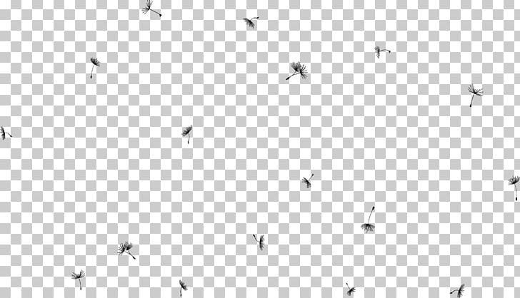 Line Point Angle Black And White PNG, Clipart, Area, Black, Dandelion, Dandelion Flying, Decorative Free PNG Download