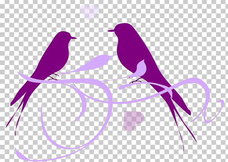 Lovebird PNG, Clipart, Animals, Beak, Bird, Branch, Computer Wallpaper Free PNG Download