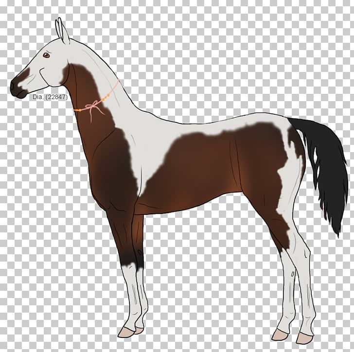 Mustang Stallion Foal Colt Mare PNG, Clipart, Bridle, Colt, Daphnis, Foal, Halter Free PNG Download