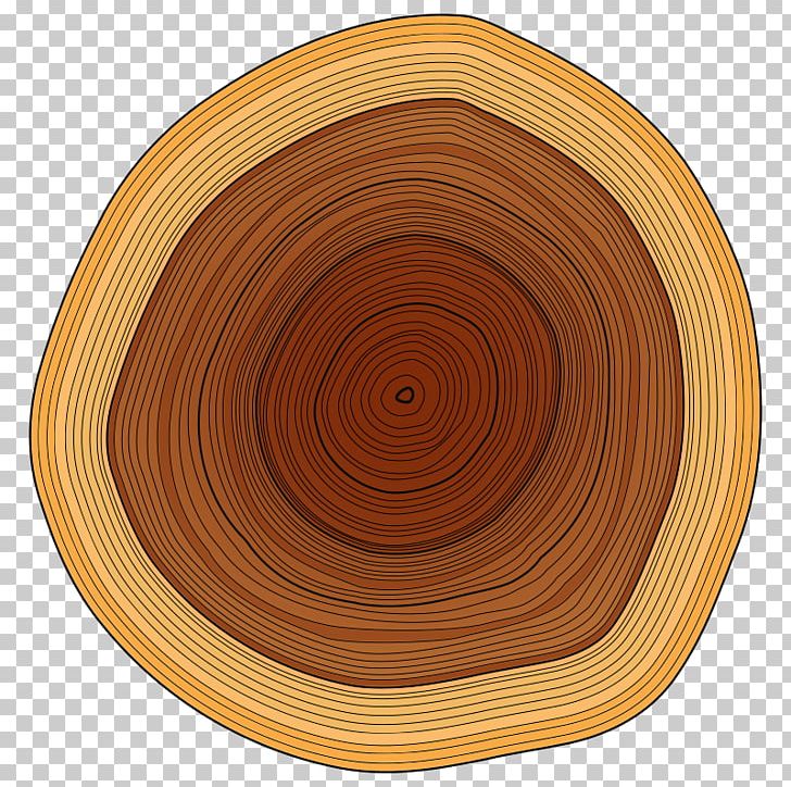 Wood Lumberjack Tree Stump PNG, Clipart, Circle, Clip Art, Computer Icons, Dishware, Firewood Free PNG Download