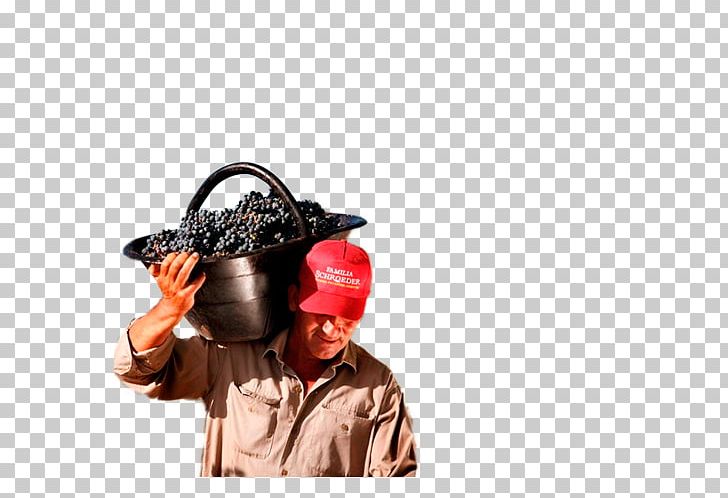 Microphone Hat PNG, Clipart, Decanter, Electronics, Hat, Headgear, Microphone Free PNG Download