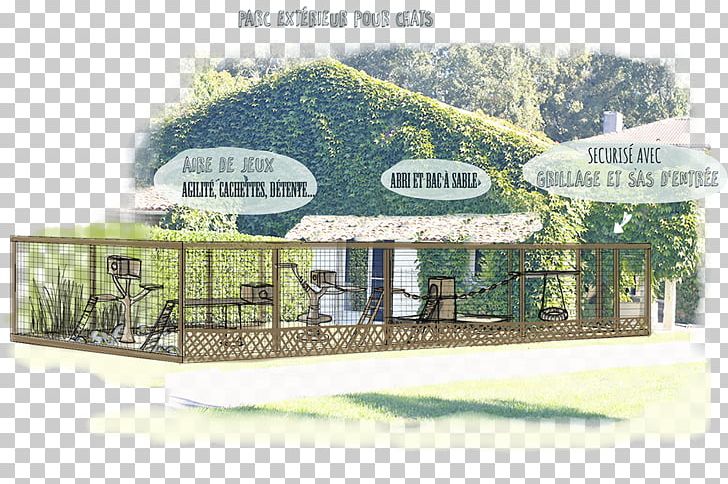 Cattery Kennel Chenil De La Conque Hautes-Alpes PNG, Clipart,  Free PNG Download