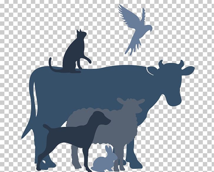 Cattle Ferndale Dog Pet Veterinarian PNG, Clipart, Animals, Canidae, Carnivoran, Cat Food, Cattle Free PNG Download