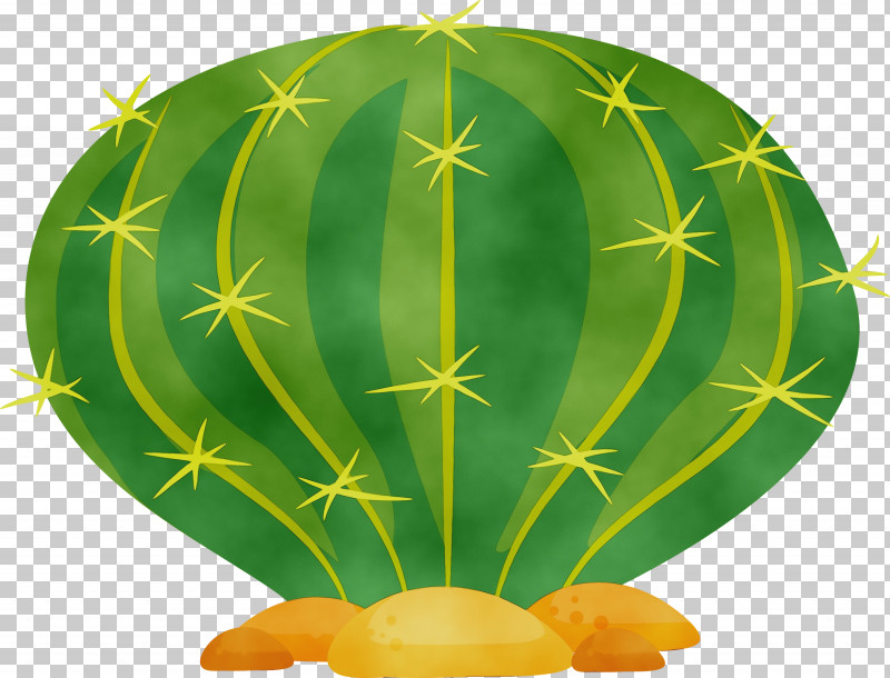 Cactus PNG, Clipart, Cactus, Caryophyllales, Fruit, Green, Melon Free PNG Download