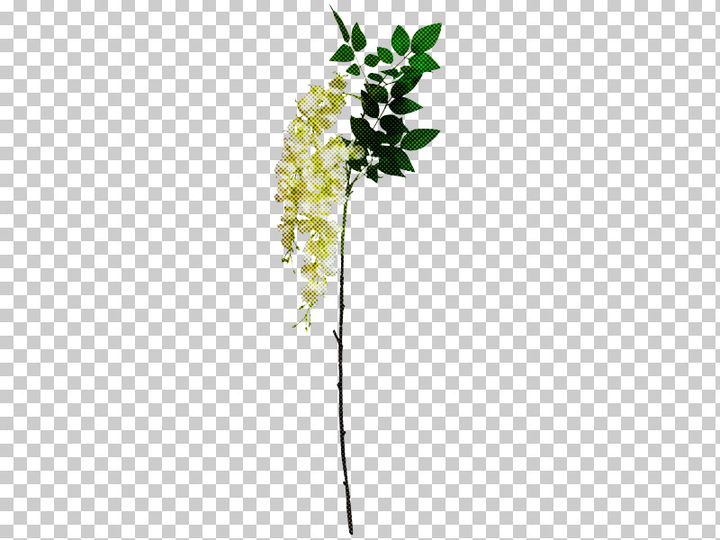 Flower Plant Leaf Plant Stem Twig PNG, Clipart, Cut Flowers, Flower, Leaf, Plant, Plant Stem Free PNG Download