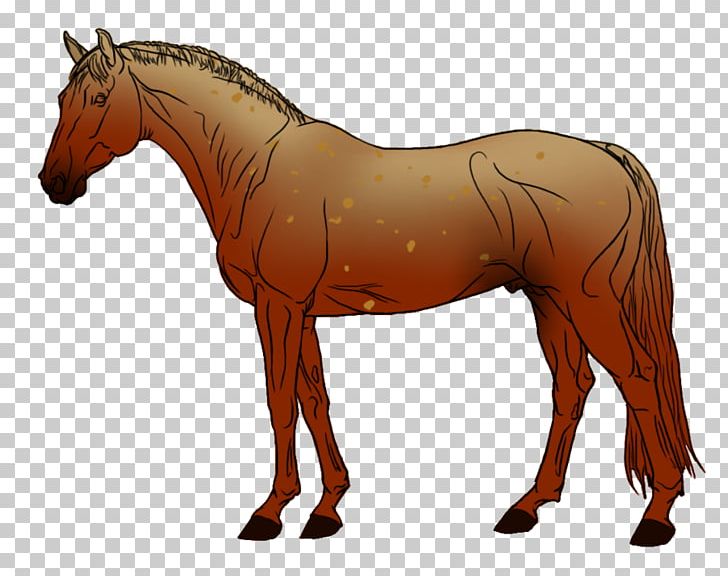 Bandera American Quarter Horse Breyer Animal Creations Ranch Appaloosa PNG, Clipart, Animal Figure, Bridle, Colt, Foal, Halter Free PNG Download