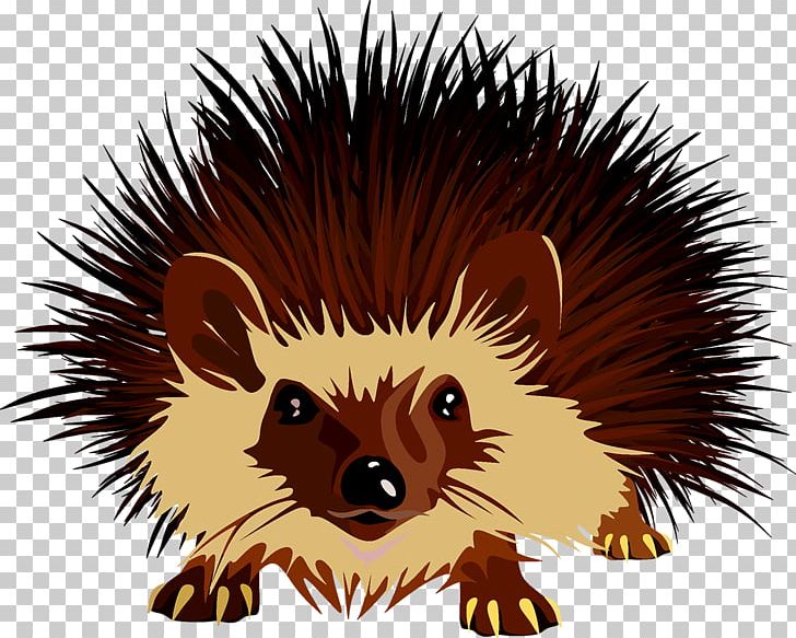 Hedgehog Euclidean Adaptation PNG, Clipart, Animal, Animals, Carnivoran, Cartoon Hedgehog, Creatures In Crisis Free PNG Download