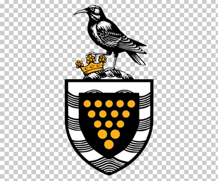 Lostwithiel Cornwall Council Falmouth St Erth PNG, Clipart, Arm, Beak, Bird, Brand, Career Free PNG Download
