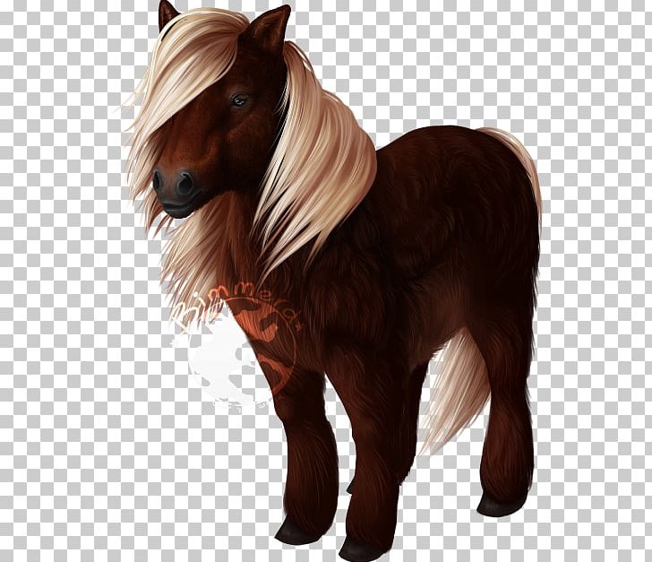 Shetland Pony Mane Mustang Howrse PNG, Clipart, Animal, Animal Figure, Drawing, Equestrian, Fur Free PNG Download
