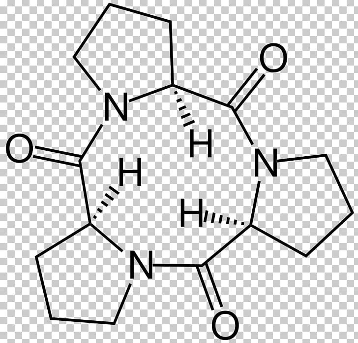 Cyclic Peptide Tripeptide Amino Acid Oligopeptide PNG, Clipart, Amino Acid, Angle, Area, Artwork, Black And White Free PNG Download