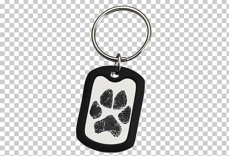 Labrador Retriever Dog Tag Paw Pet PNG, Clipart, Collar, Dog, Dog Collar, Dog Necklace, Dog Tag Free PNG Download
