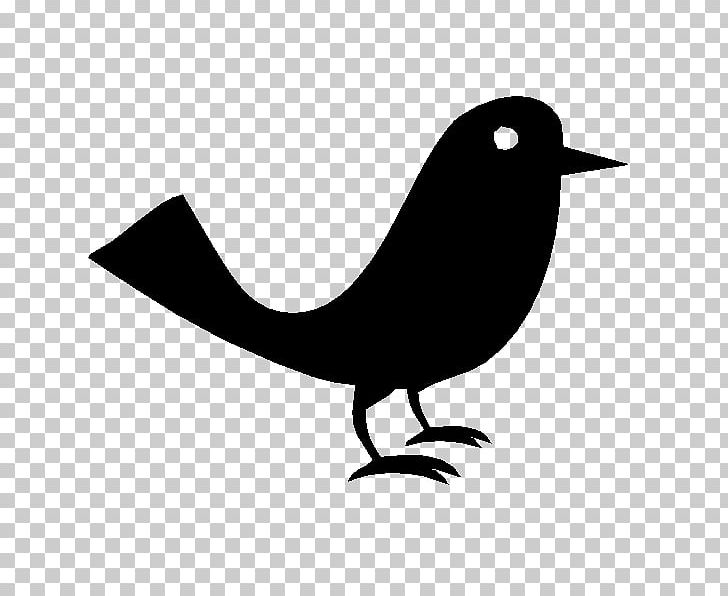 Bird Computer Icons Beak Cygnini PNG, Clipart, Anatidae, Animals, Artwork, Beak, Bird Free PNG Download