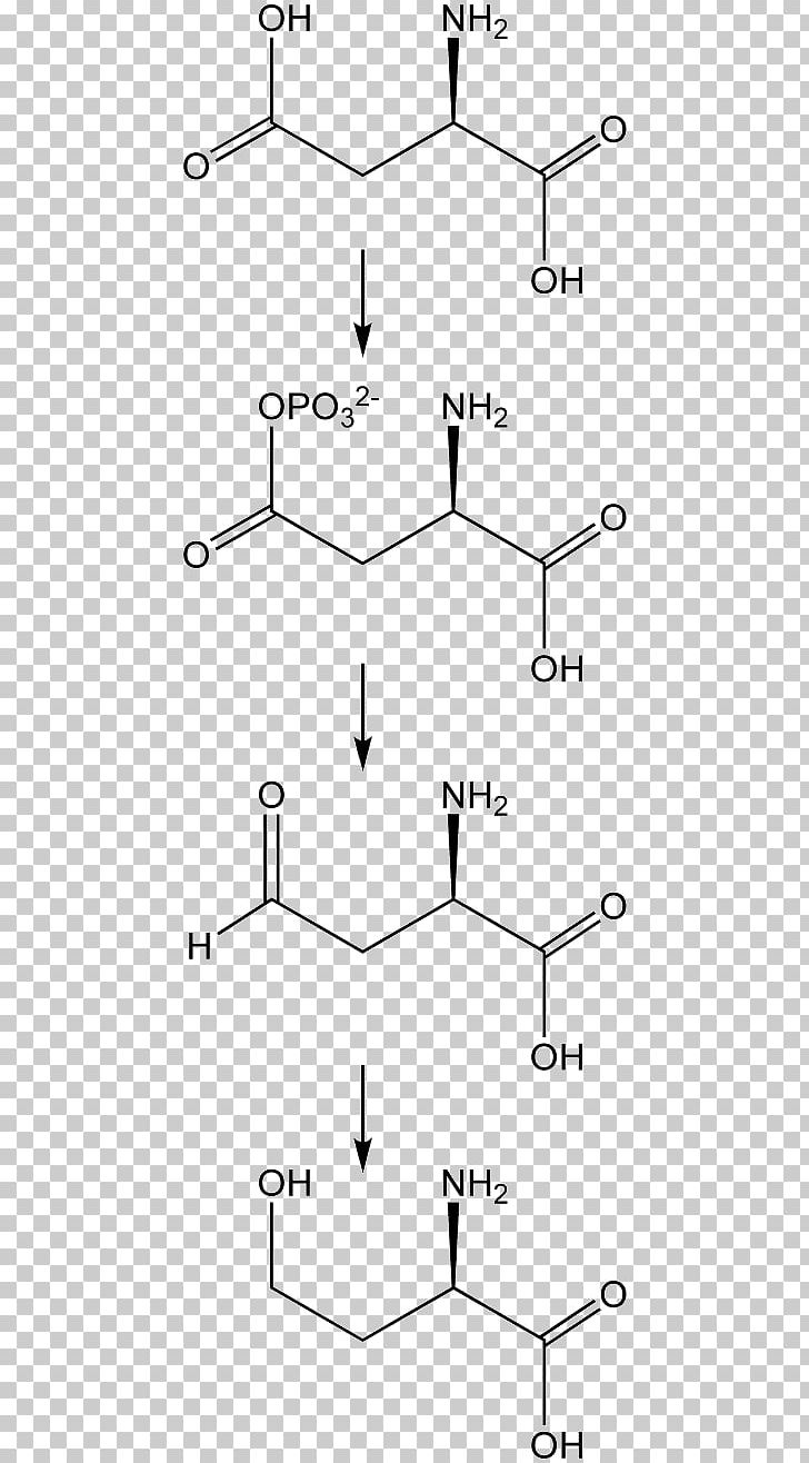 Drawing /m/02csf Angle Point Pattern PNG, Clipart, Acid, Amino, Amino Acids, Amoxicillin, Angle Free PNG Download