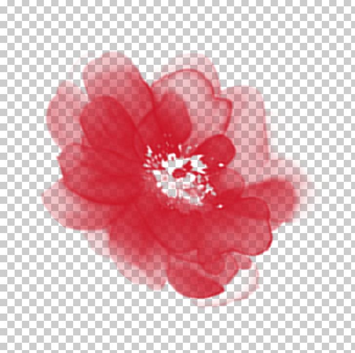 Elements PNG, Clipart, Blossom, Camellia, Floral Design, Floral Frame, Flower Free PNG Download