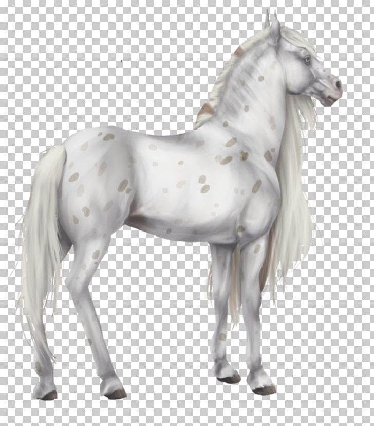 Foal Stallion Colt Mustang Pony PNG, Clipart, Animal Figure, Bridle, Colt, Figurine, Foal Free PNG Download