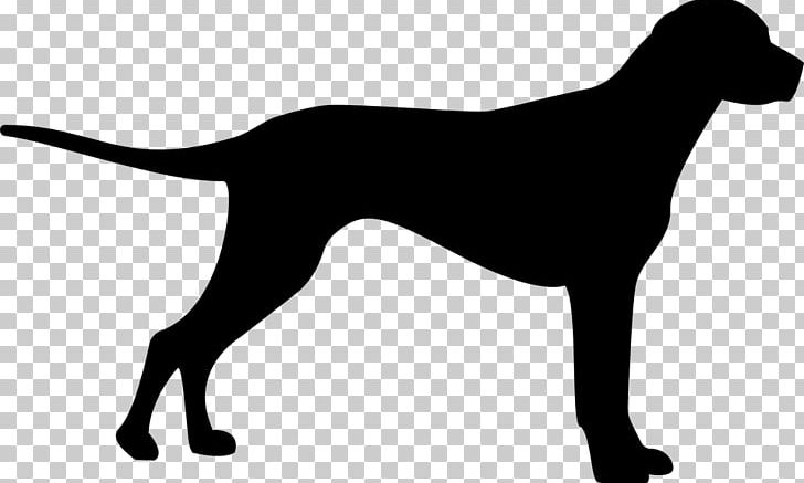 Great Dane Pet Dog Grooming Cat Food Puppy PNG, Clipart, Black, Black And White, Carnivoran, Cat Food, Dog Free PNG Download