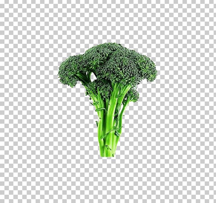 Broccoli Cabbage Cauliflower Vegetable Lettuce PNG, Clipart, Brassica Oleracea, Broccoli Vector, Chinese Cabbage, Collard Greens, Cooking Free PNG Download