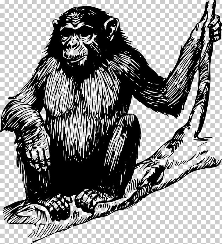 Chimpanzee Ape Gorilla Orangutan PNG, Clipart, Animals, Ape, Art, Big Cats, Black And White Free PNG Download