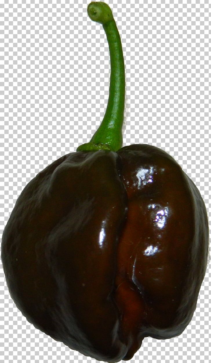 Habanero Bell Pepper Serrano Pepper Cayenne Pepper Chili Pepper PNG, Clipart, Bell Pepper, Bell Peppers And Chili Peppers, Cayenne Pepper, Chili Pepper, Chocola Free PNG Download