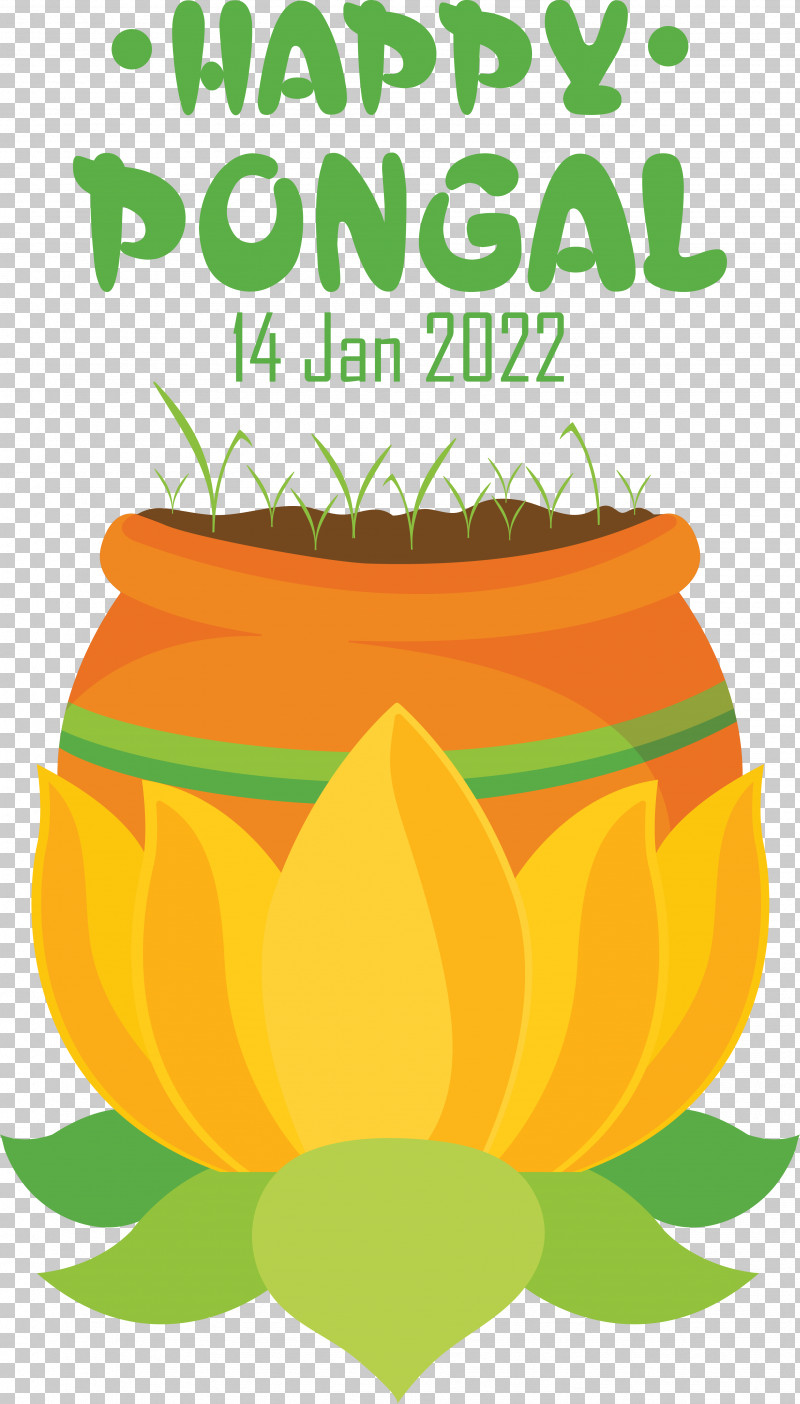 Pumpkin PNG, Clipart, Flower, Meter, Orange Sa, Pumpkin Free PNG Download