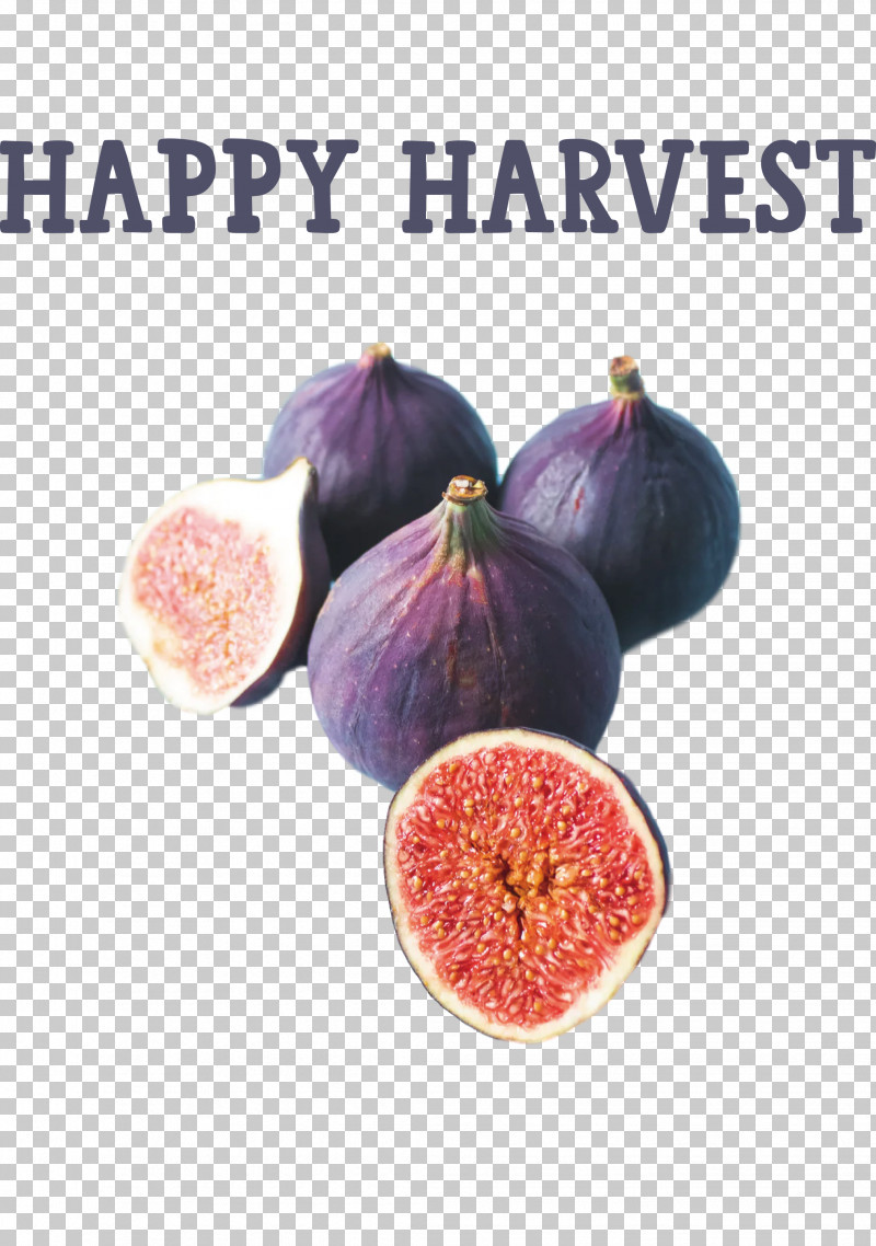Happy Harvest Harvest Time PNG, Clipart, Fruit, Happy Harvest, Harvest Time, Ingredient, Local Food Free PNG Download