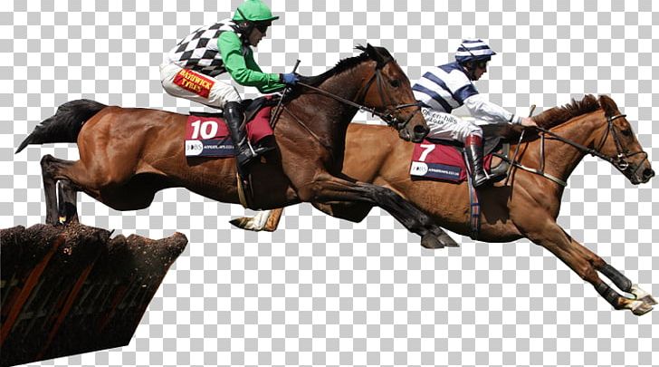 Horse Racing Jockey Sports Betting PNG, Clipart, Animals, Animal Sports, At The Races, Bridle, Equestrian Free PNG Download