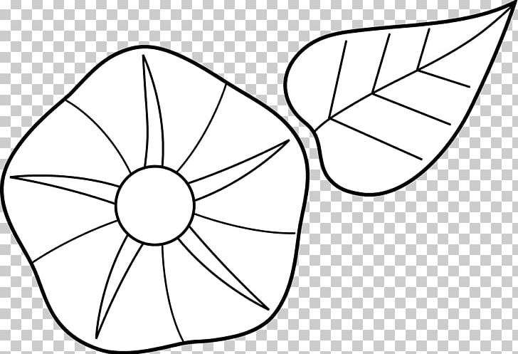 Morning Glory Drawing YouTube PNG, Clipart, Angle, Area, Black, Black And White, Blog Free PNG Download