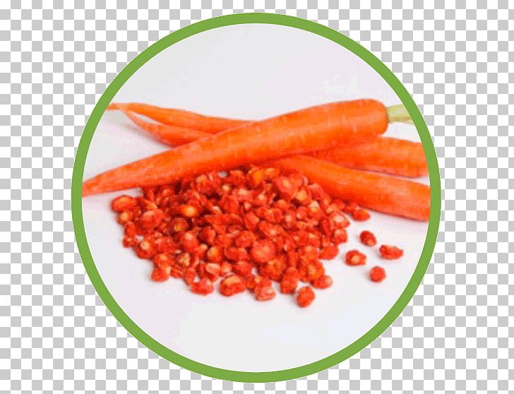 Baby Carrot PNG, Clipart, Baby Carrot, Carrot, Natural Foods, Orange, Others Free PNG Download
