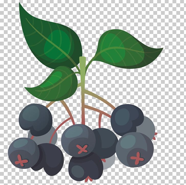 Bilberry Auglis Blueberry Fruit PNG, Clipart, Apple Fruit, Auglis, Berry, Bilberry, Blueberry Free PNG Download
