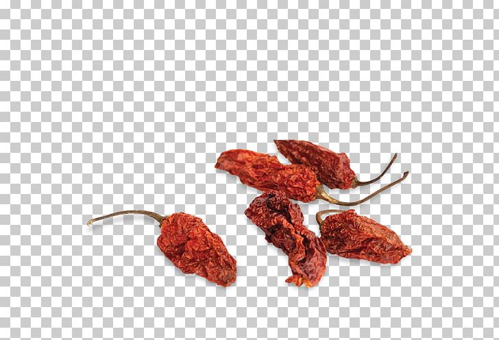 Chili Pepper Chili Con Carne Habanero Trinidad Moruga Scorpion Bell Pepper PNG, Clipart, Bell Peppers And Chili Peppers, Capsicum, Capsicum Annuum, Chili Con Carne, Chili Pepper Free PNG Download