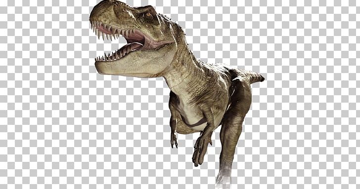 Dinosaur PNG, Clipart, Dinosaur Free PNG Download