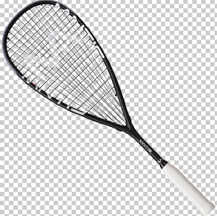 Racket Squash Strings Ball Sport PNG, Clipart, Black, Line, Mantis, Norwich, Prince Sports Free PNG Download