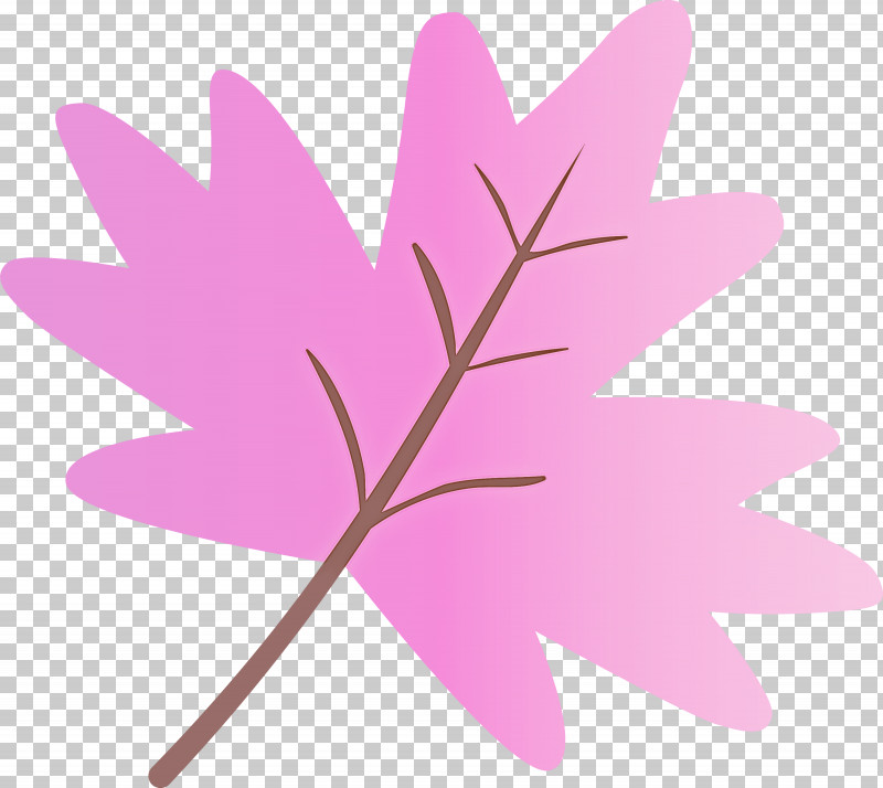 Leaf Pink Plant Tree Flower PNG, Clipart, Flower, Leaf, Petal, Pink, Plant Free PNG Download
