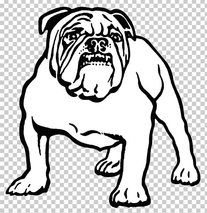 Canterbury-Bankstown Bulldogs National Rugby League City Of Bankstown PNG, Clipart, Artwork, Black And White, Bulldog, Canterburybankstown Bulldogs, Carnivoran Free PNG Download