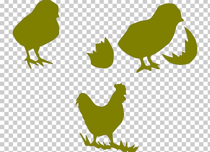 Chicken Bird Kifaranga Rooster Poultry PNG, Clipart, Animals, Bantam, Beak, Bird, Branch Free PNG Download