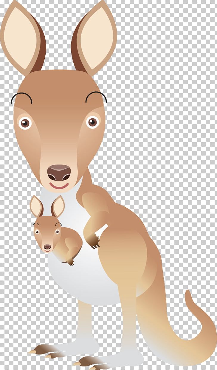 Musky Rat-kangaroo Mammals Of Australia PNG, Clipart, Animals, Australia,  Carnivoran, Cartoon, Cartoon Kangaroo Free PNG