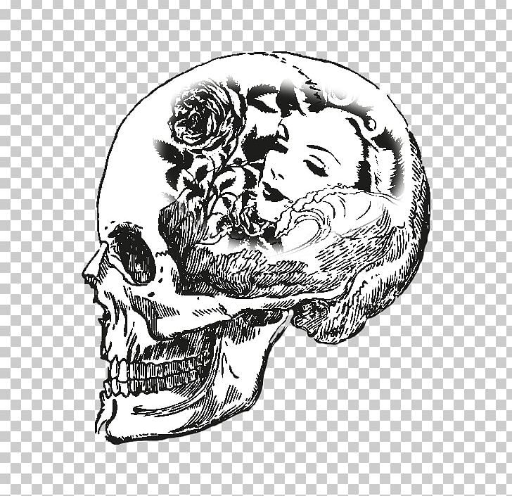 Skull Drawing Bone Skeleton Human Body PNG, Clipart, Anatomy, Arm, Art, Black And White, Bone Free PNG Download